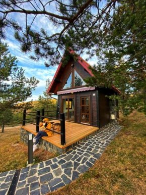 Гостиница Previja Zlatibor Chalet  Златибор